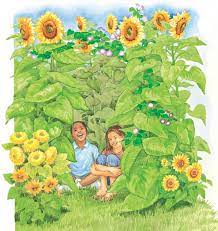 How To Grow A Sunflower House The Old