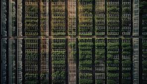 Vertical Farm Images Free On