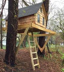 Treehouse Building