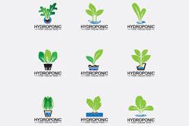 Hydroponic Logo Vector Design Template