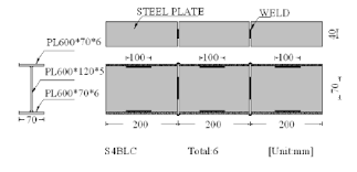 dimensions of the steel beam specimens
