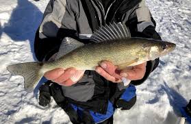 Best Ice Fishing Line For Walleye In