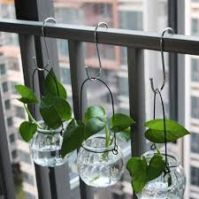 12 S To Hang Plants Without