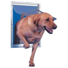 Deluxe Aluminum Frame Dog And Pet Door