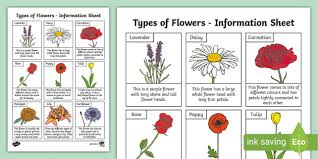 Types Of Flower Information Sheet