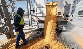 Usda Plans Additional 14b For Farmers