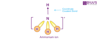 Ammonium Ion Nh4 Explanation