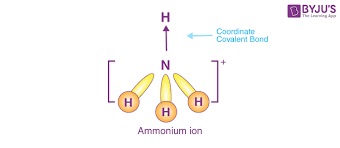 Formation Of Ammonium Ion