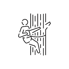 Woodcutter Line Icon Log Wood Wooden