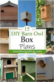 15 Free Diy Barn Owl Box Plans For Your