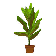 Houseplant Icon Cartoon Vector Gardenia