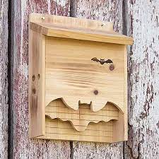 Build A Bat Box With Diy Instructions