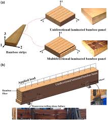 plane shear properties of bamboo strips