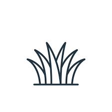 Grass Icon Thin Linear Grass Outline
