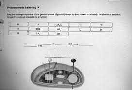 Solved Photosynthetic Balancing Ix