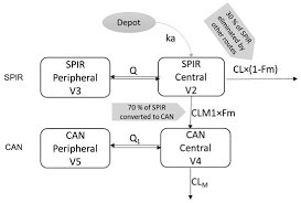 Spironolactone Liquid Formulation