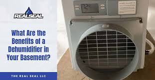Benefits Of A Dehumidifier In Basement