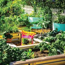Reviews For Kellogg Garden Organics 2