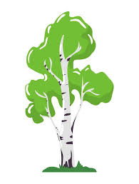 Vector Birch Tree Icon Concept