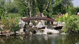Serene Footage Of A Wooden Bridge