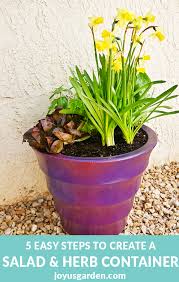 Salad And Herb Container Garden