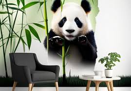 Wall Stickers