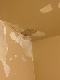 Ceiling Repair Is This Rock Lath With