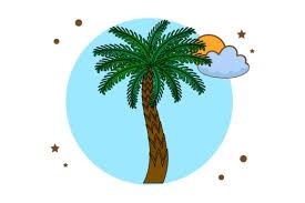 Tree Icon Palm Outdoor Sun Circle