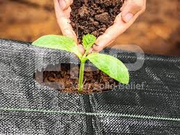 Garden Mats For Weed Control