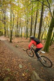 Autumn Cyclist On The Ballyhoura Forest