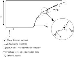 without shear reinforcement