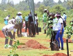 The Plant Your Age Initiative