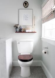 Blogger Shelves Above Toilet