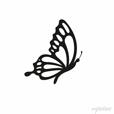 Erfly Icon Vector Wall Mural