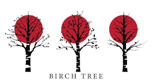 Birch Tree Ilration Bundle