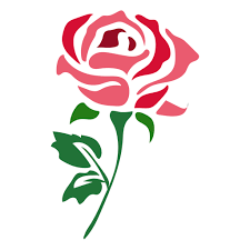 Beautiful Red Rose Icon Flower Png