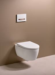 Upgrades For Your Toilet