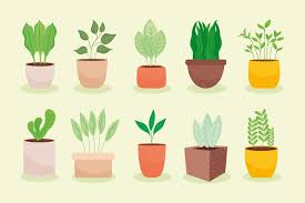 Premium Vector Indoor Plants Icon Set