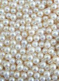Pearl Wallpaper Pearls Pearl And