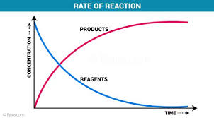 Rate Of Reaction Questions Practice