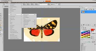 Erfly Images For The Gallery Wall