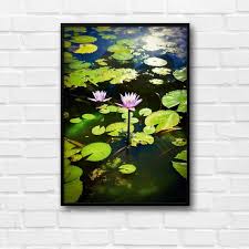 Two Purple Water Lilies Surrounded By