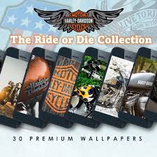 Phone Wallpaper Harley Davidson