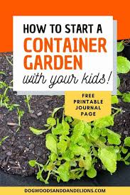 Container Garden With Your Kids