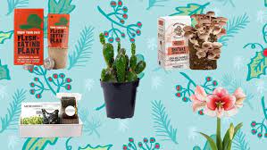 Great Growable Gifts For Every Person