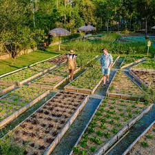 Design An Italian Kitchen Garden Step