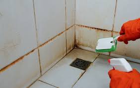 Black Mold In The Shower