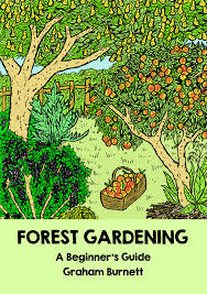 Forest Gardening A Beginner S Guide