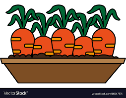 Carrots Growing In Land Icon Image