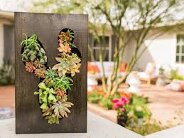 Diy Succulent Projects You Just Have To